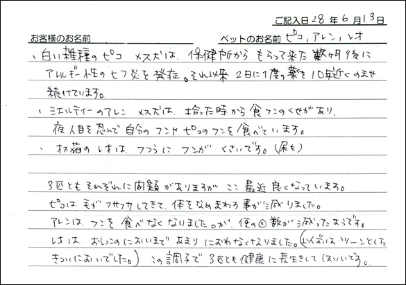 お客様の声