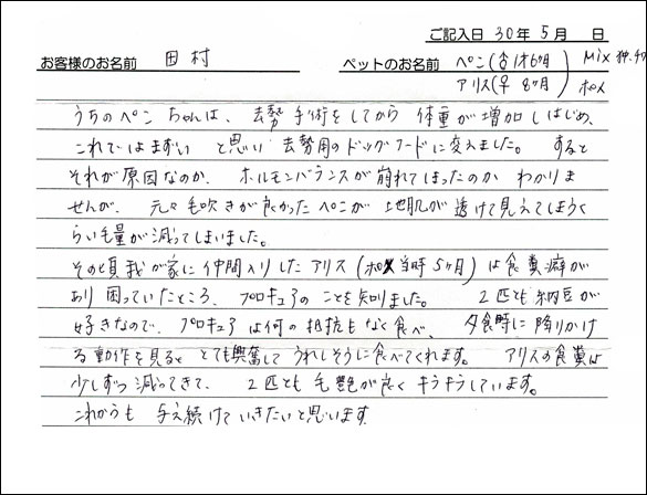 お客様の声