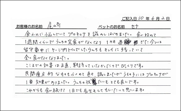 お客様の声