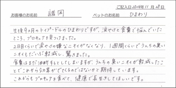 お客様の声