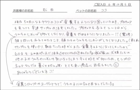 お客様の声