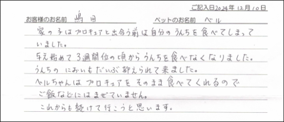 お客様の声