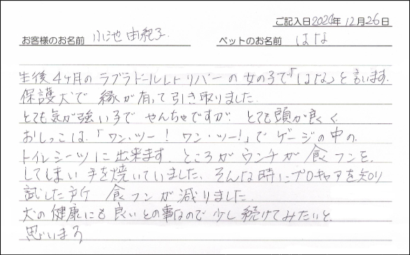 お客様の声