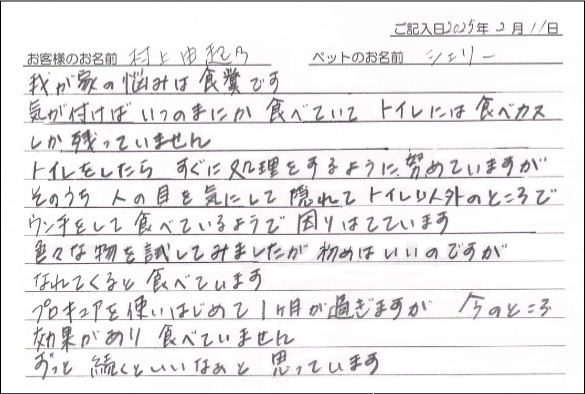 お客様の声