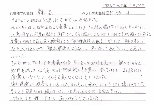 お客様の声