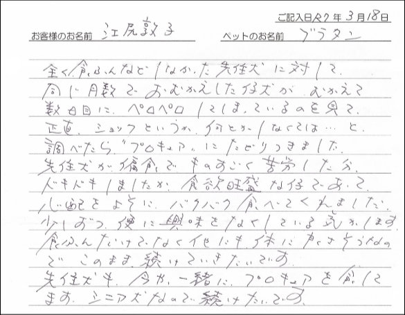 お客様の声