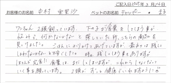 お客様の声