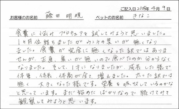 お客様の声