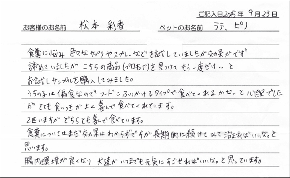 お客様の声