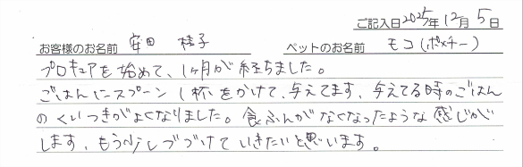 お客様の声