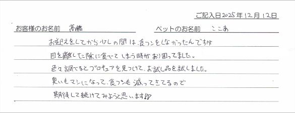 お客様の声