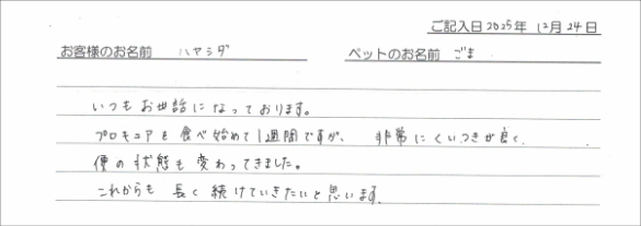 お客様の声