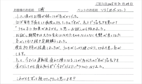 お客様の声