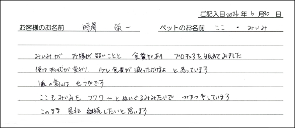 お客様の声