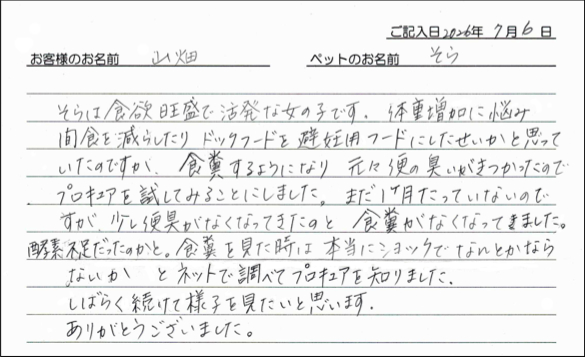 お客様の声